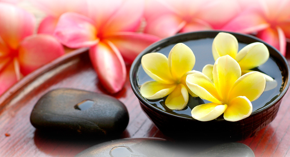 【企业授权版】终身使用的ddos网页在线攻击